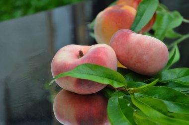 Yapraklı olgun şeftaliler. İncirli şeftali. Nektarin