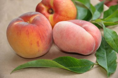 Yapraklı olgun şeftaliler. İncirli şeftali. Nektarin