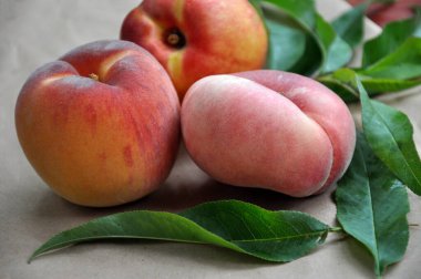 Yapraklı olgun şeftaliler. İncirli şeftali. Nektarin