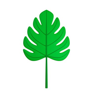 Canavar bitkisinin yeşil yaprağı, karikatür tarzında yaz süsü. Beyazda izole edilmiş. 3d oluşturma