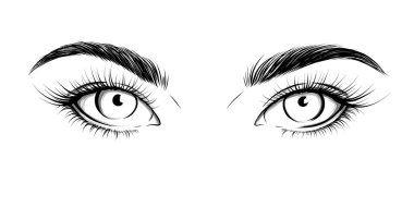 Eyes looking straight. Sexy look. Fashion illustration. Eye with eyebrows and long eyelashes. Vector EPS 10. clipart