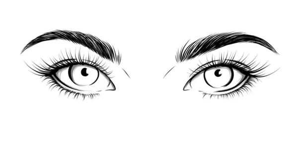 Les Yeux Droits Look Sexy Illustration Mode Œil Avec Sourcils — Image vectorielle