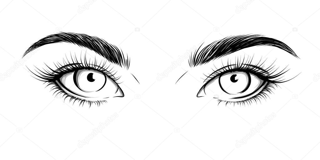 Eyes looking straight. Sexy look. Fashion illustration. Eye with eyebrows and long eyelashes. Vector EPS 10.