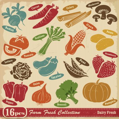 Vintage çiftlik taze tasarım öğesi