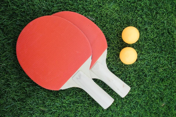 Tennis da tavolo su erba — Foto Stock