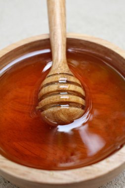 Taze bal bal ayı ile 