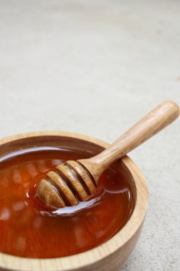 Taze bal bal ayı ile 