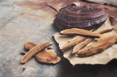 Ganoderma Lucidium - ling zhi mantar.