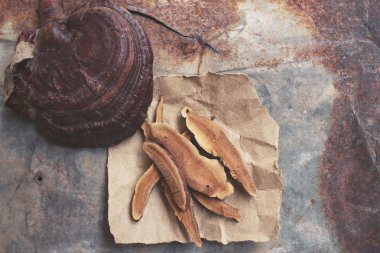 Ganoderma Lucidium - ling zhi mantar.