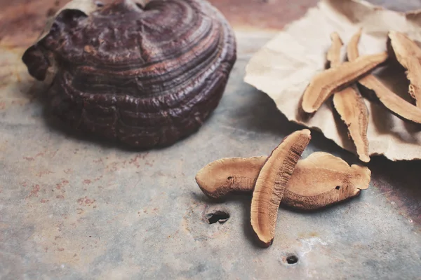 Ganoderma lucidum - ling zhi gombát. — Stock Fotó