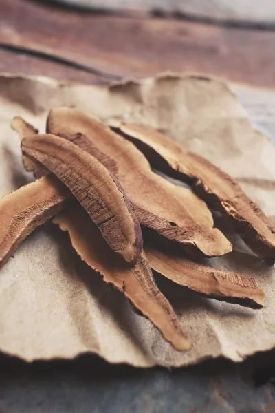 Ganoderma lucidum - Ling zhi mushroom. — Stock Photo, Image