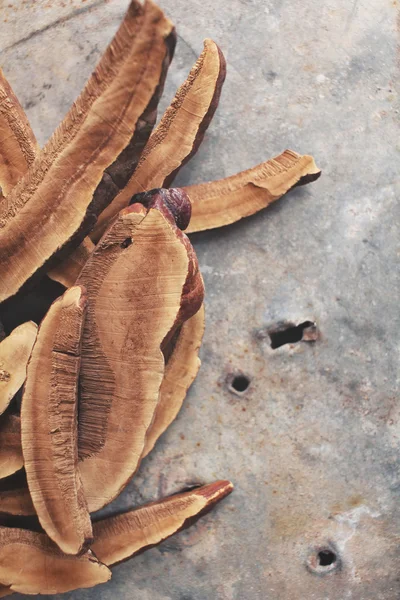 Ganoderma Lucidium - ling zhi mantar. — Stok fotoğraf