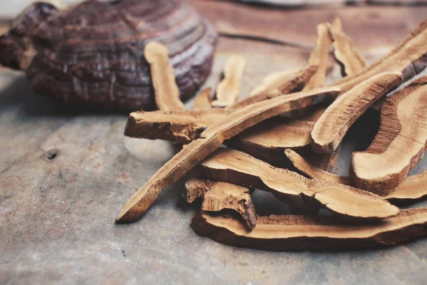 Ganoderma lucidum - ling zhi paddestoel. — Stockfoto