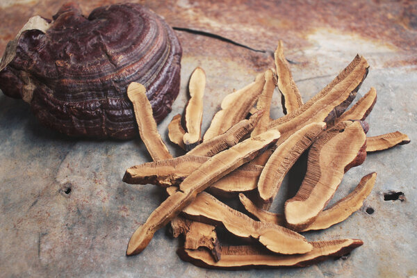 Одерма Люцидум - Лин Чжи Мушрум
.