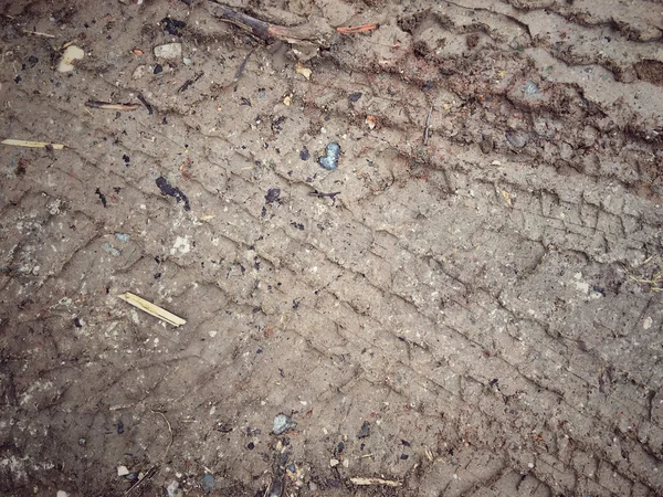 Wielsporen op de grond. — Stockfoto