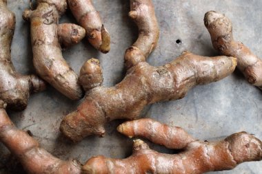 Kökleri zerdeçal yakın çekim