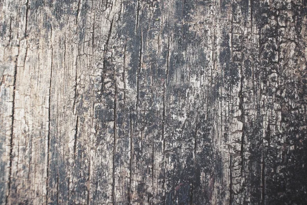Primo piano dello sfondo in legno — Foto Stock