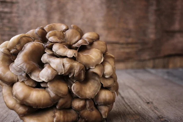 Close up of miyake mushrooms — Stock Photo, Image