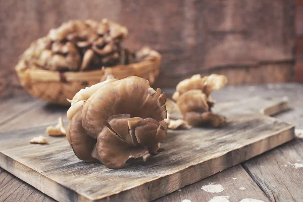 Close up van miyake paddestoelen — Stockfoto