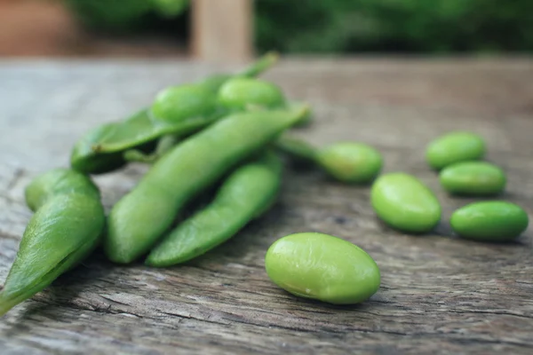 Tett inntil grønne soyabønner – stockfoto