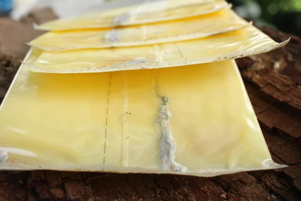 Szelet sajtot amerikai penész — Stock Fotó