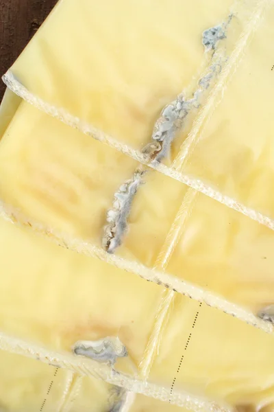 Кусочки американского сыра с плесенью — стоковое фото