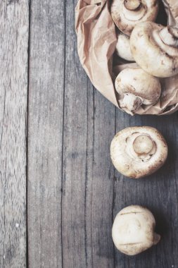 champignon mantar yakın çekim