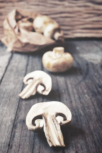 Close up van champignon paddestoel — Stockfoto