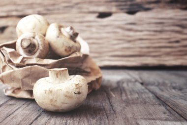 champignon mantar yakın çekim