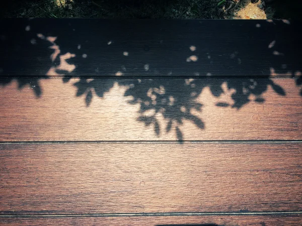 Primer plano de hojas con sombra — Foto de Stock