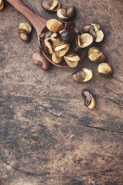 Close up de feijão de fava — Fotografia de Stock