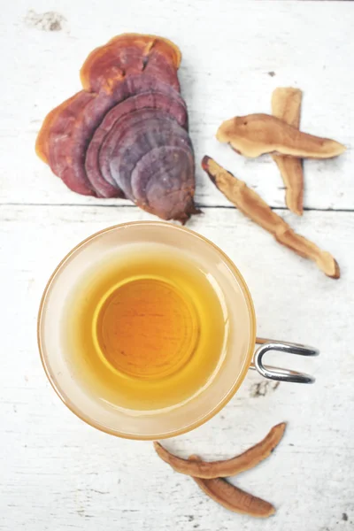 Ganoderma lucidum herbaty - Ling zhi grzyb. — Zdjęcie stockowe