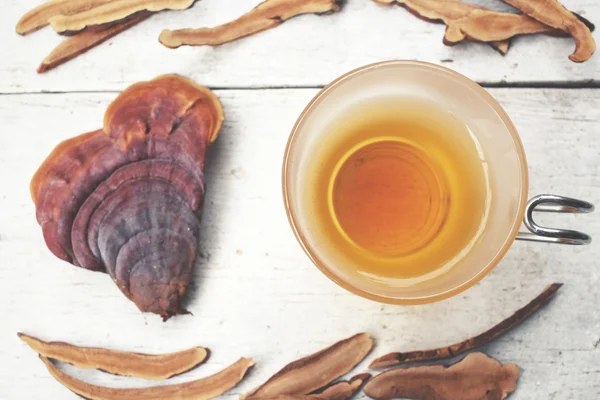 Ganoderma lucidum tea - Ling zhi mushroom. — Stock Photo, Image