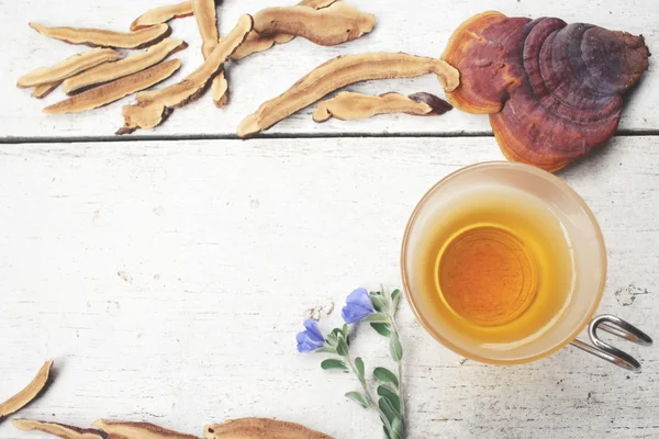 Ganoderma lucidum te - Ling zhi svamp. — Stockfoto