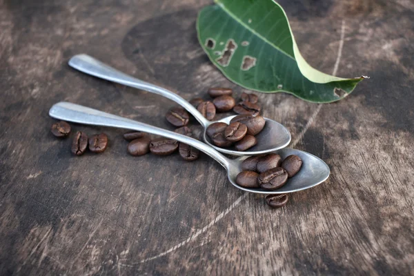 Roasted coffee beans on spoon — Stock Photo, Image