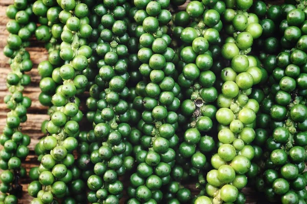 Närbild Gröna Pepparkorn — Stockfoto