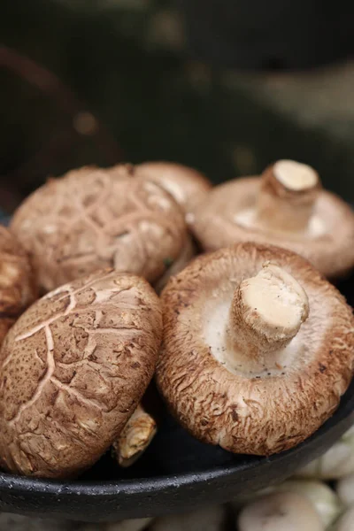 Shiitake Mushroom Stone Background — Stock Photo, Image