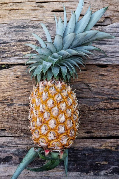 Ananas Fruits Tropicaux Alimentation Saine — Photo