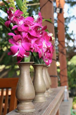 Vazodaki pembe orkide çiçeklerinin güzelliği