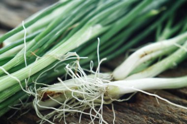 Ahşap arka planda yeşil taze soğan