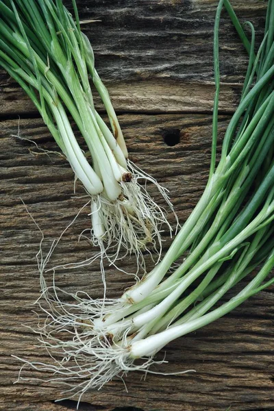 Groene Lente Uien Houtondergrond — Stockfoto