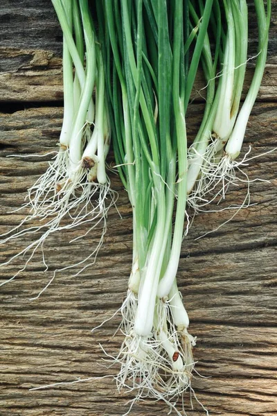 Green Spring Onions Wood Background — Stock Photo, Image