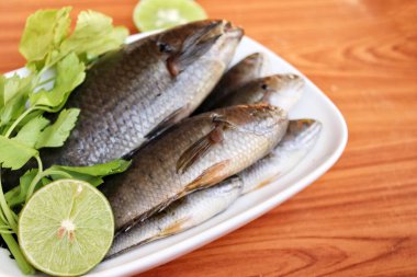 Tabakta taze çiğ balık