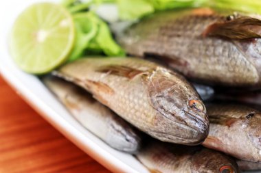 Tabakta taze çiğ balık