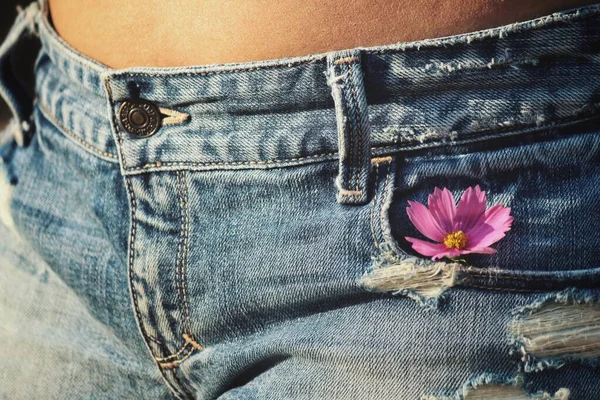 Woman waist wearing jeans and cosmos pink flower