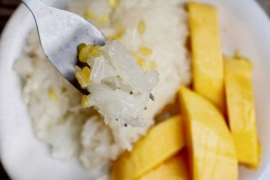 Mango ve hindistan cevizi sütlü pilav. Tayland yemeği.