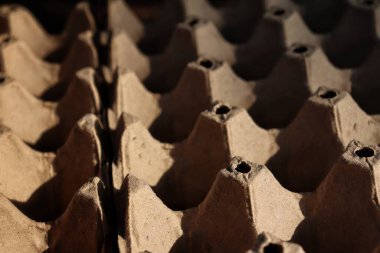 Boş yumurta karton kutu arka planı