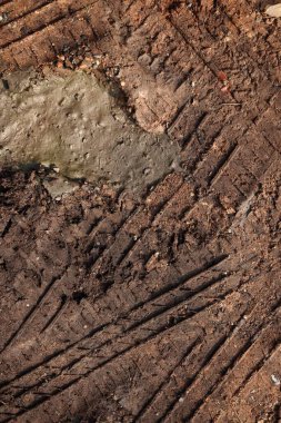 Toprak sokak arka planında veya deseninde tekerlek izleri