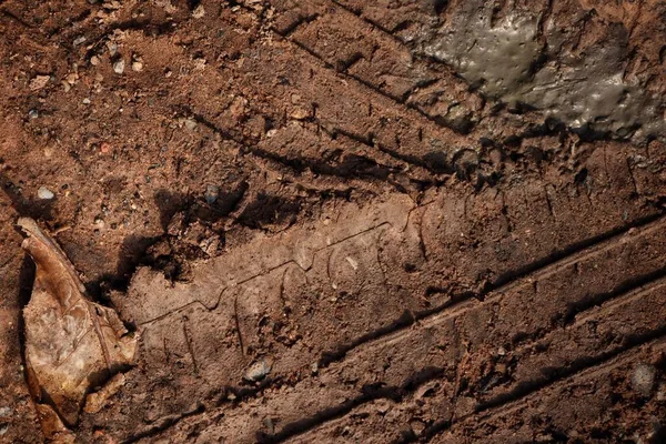 Tracce Ruote Sullo Sfondo Sulla Trama Della Strada Del Suolo — Foto Stock