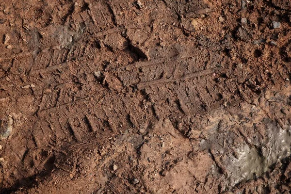 Wheel Tracks Soil Street Background Texture — Stock Photo, Image